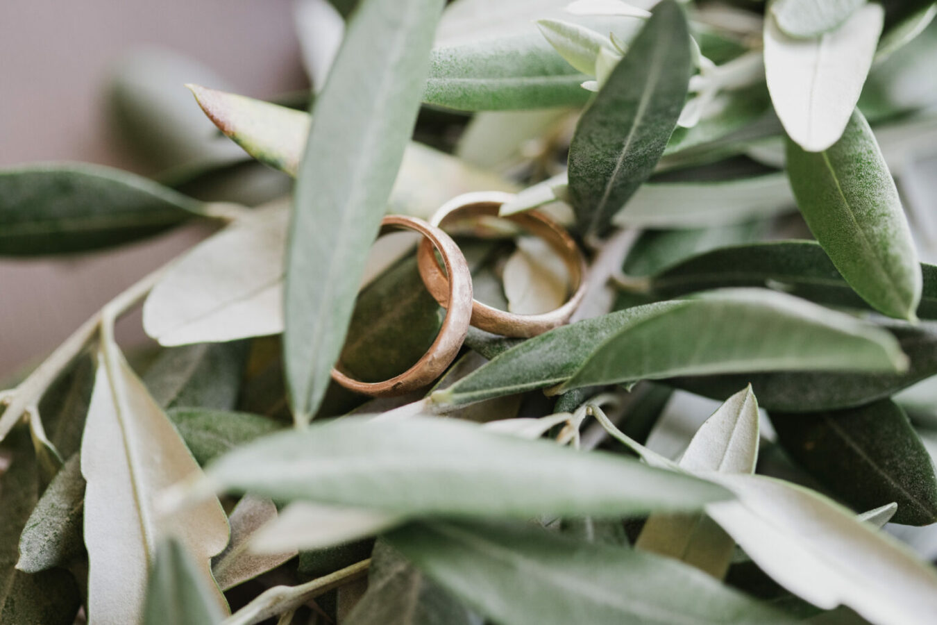 Carlotta F. - Wedding reportage e fotografia di branding, progetto web realizzato da Laio Webdesign