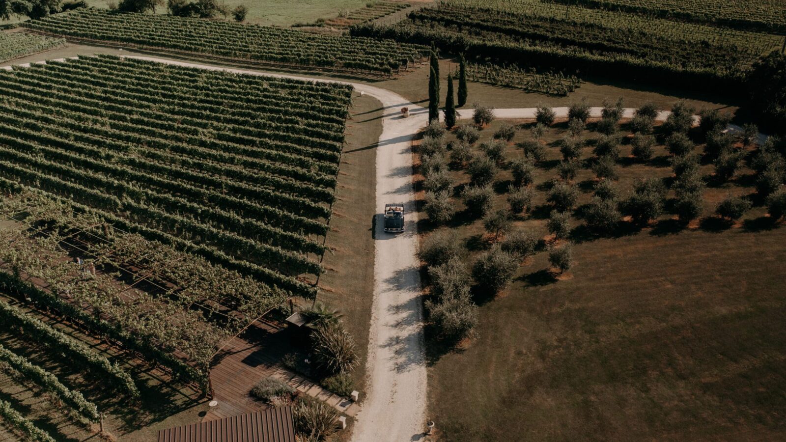 Tenuta Serradesca di Maria Acquaroli, progetto web realizzato da Laio Webdesign